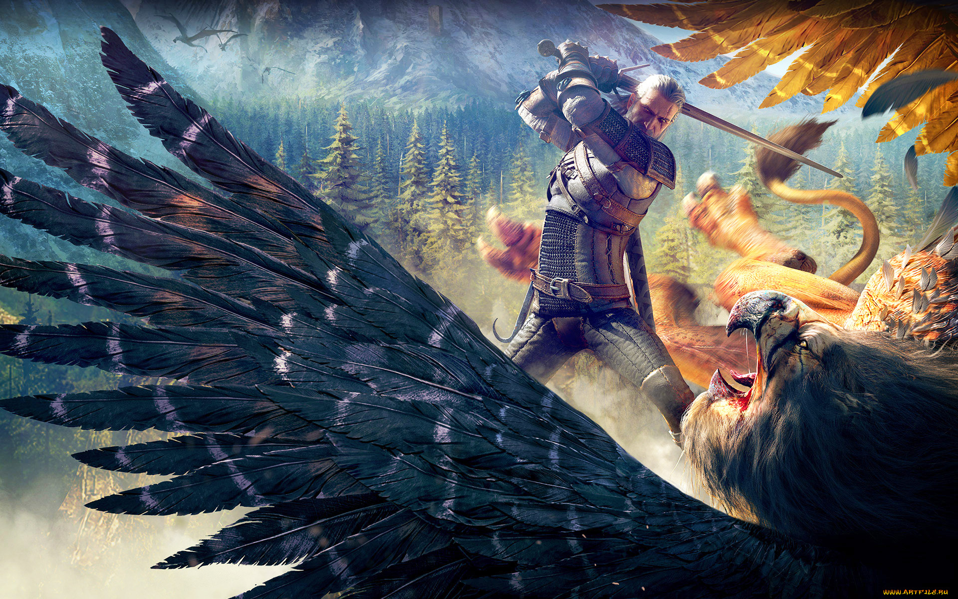  , - the witcher 3,  wild hunt, witcher, grifon, 3, wild, hunt, , , , cd, projekt, red, rpg